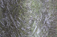 Rettendon fibreglass roof work